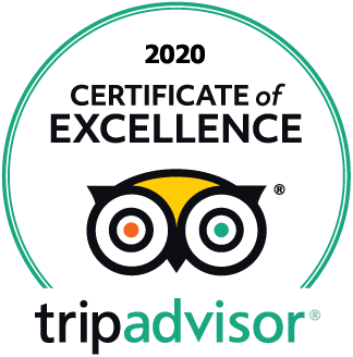 tripadvisor logo 2020